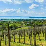 Balatonfüred-Csopak