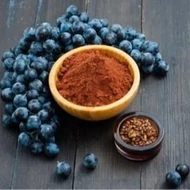 Szőlőmagőrlemény