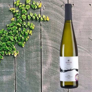 BíBor rajnai rizling 2016