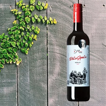 DarVin BéLaGyuLa 2018