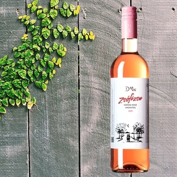 DarVin Zsófizsu 2020