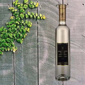 Fekete fehér kadarka 2019