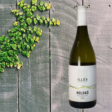 Illés Holdkő 2020