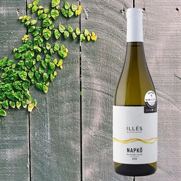 Illés Napkő 2020