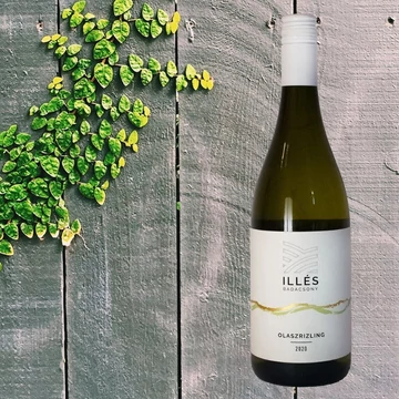Illés olaszrizling 2020