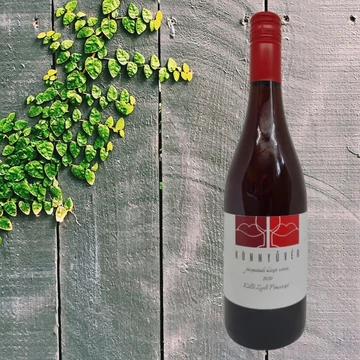 Köllő Könnyűvér 2021