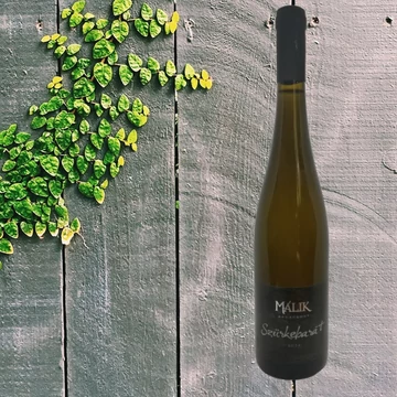 Málik Szürkebarát 2019