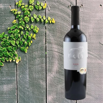 Neuperger Égbor 2019