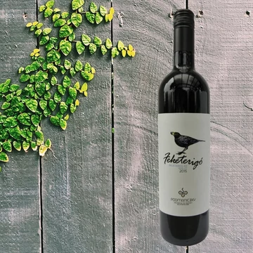 Podmaniczky Feketerigó 2019