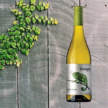 Steigler fehér kaméleon 2020