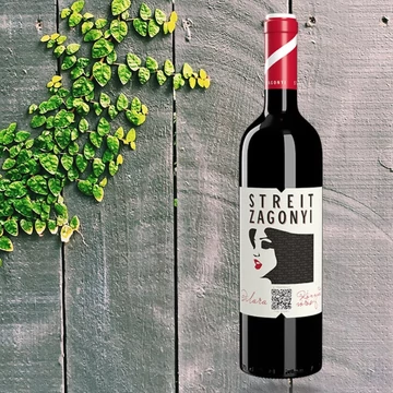 Streit-Zagonyi Dilara 2019