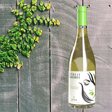 Streit-Zagonyi Csintalan 2022