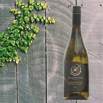 Szijjártó Sarkcsillag 2019