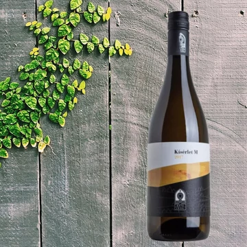 Bata-Loyal KísérletM 2017