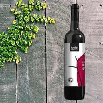 Lavici merlot 2018
