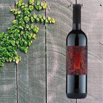 Nyolcas és Fia Szülőföldem 2016