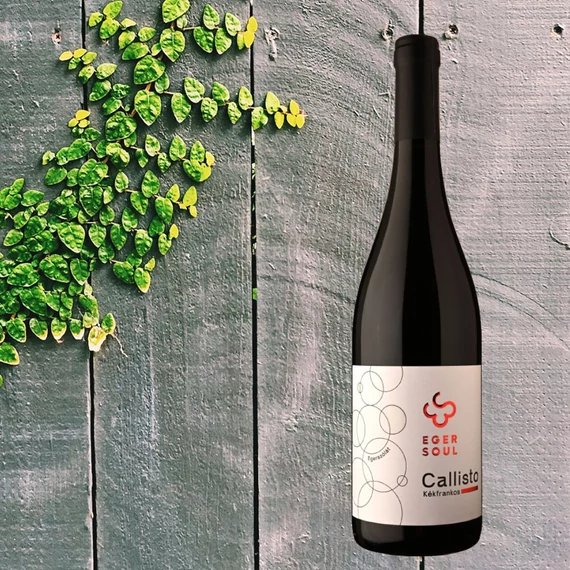 Eger Soul Callisto 2021