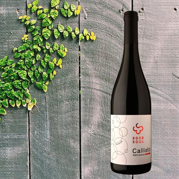 Eger Soul Callisto 2021